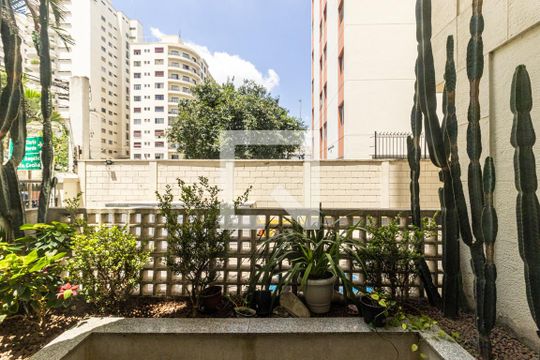 Jardim de apartamento para alugar com 1 quarto, 30m² em Campos Elíseos, São Paulo