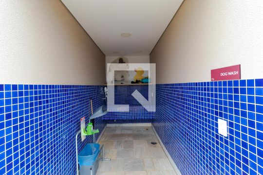 Área comum -Dog Wash de apartamento para alugar com 2 quartos, 75m² em Parque Industrial, Campinas