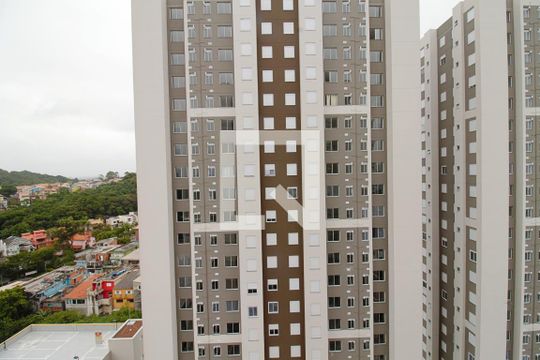 Vista do Quarto 1 de apartamento para alugar com 2 quartos, 48m² em Jardim Monte Alegre, Taboão da Serra