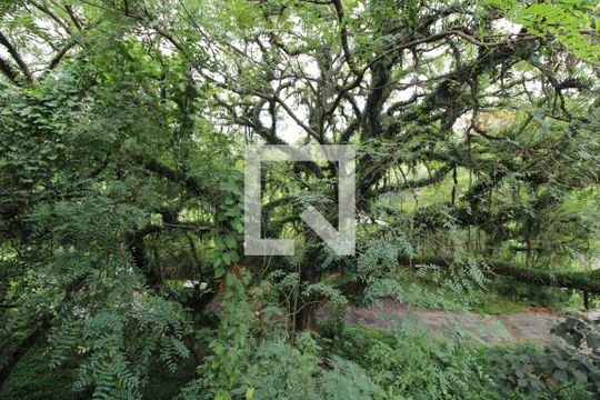 Vista da varanda  de apartamento para alugar com 1 quarto, 31m² em Jardim Sabara, São Paulo