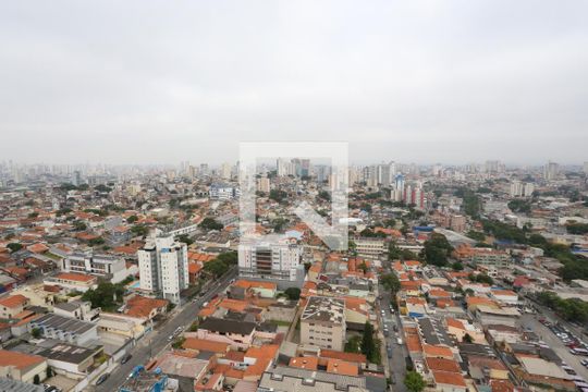 Vista da Varanda da Suíte de apartamento à venda com 3 quartos, 201m² em Vila Nova Savoia, São Paulo