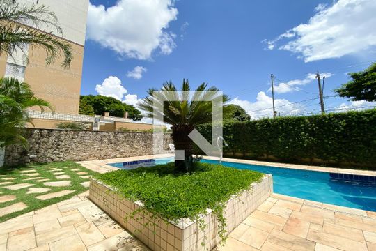Área comum - Piscina de apartamento à venda com 3 quartos, 63m² em Parque Maria Domitila, São Paulo