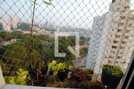 Vista do Quarto 1 de apartamento para alugar com 2 quartos, 70m² em Super Quadra Morumbi, São Paulo