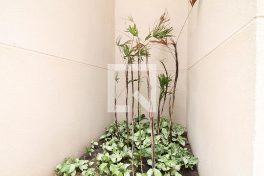Área comum de apartamento para alugar com 1 quarto, 29m² em Vila Ré, São Paulo