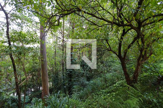 Área comum - bosque de apartamento para alugar com 2 quartos, 65m² em Granja Viana Ii, Cotia