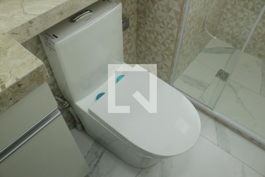 Banheiro de apartamento para alugar com 2 quartos, 44m² em Usina Piratininga, São Paulo