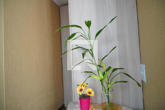Área de serviço  de casa à venda com 4 quartos, 340m² em Rio Branco, Porto Alegre
