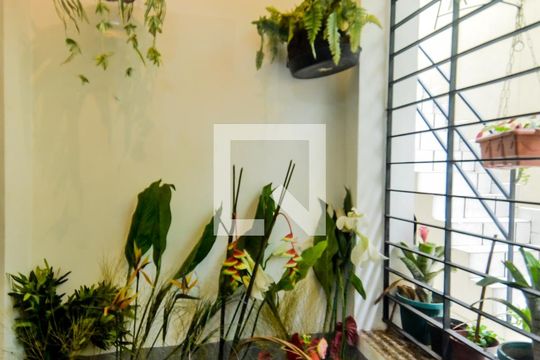Jardim de Inverno  de casa para alugar com 3 quartos, 255m² em Vila Augusta, Guarulhos