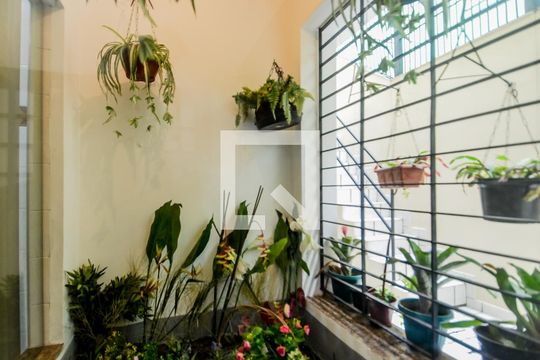 Jardim de Inverno  de casa para alugar com 3 quartos, 255m² em Vila Augusta, Guarulhos