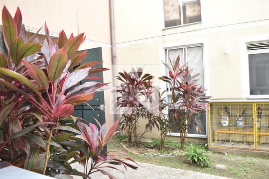 Apartamento para alugar com 2 quartos, 45m² em Campo Grande, Rio de Janeiro
