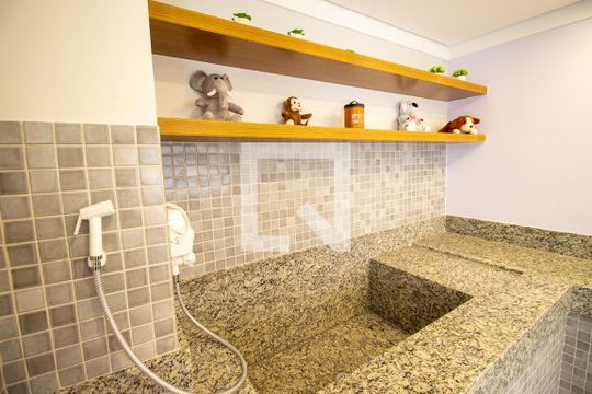 Área comum / Pet de apartamento para alugar com 2 quartos, 33m² em Itaquera, São Paulo