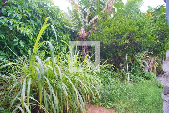Quintal de casa para alugar com 3 quartos, 150m² em Operário, Novo Hamburgo
