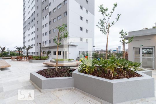 Área Comum - Área Externa de apartamento para alugar com 2 quartos, 37m² em Vila Pierina, São Paulo