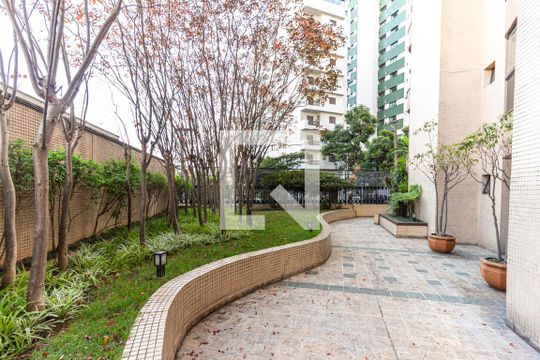 Área Comum - Área Verde de apartamento para alugar com 3 quartos, 115m² em Chácara Inglesa, São Paulo
