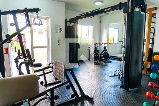 Área comum - Academia de apartamento à venda com 3 quartos, 56m² em Parque Jabaquara, São Paulo