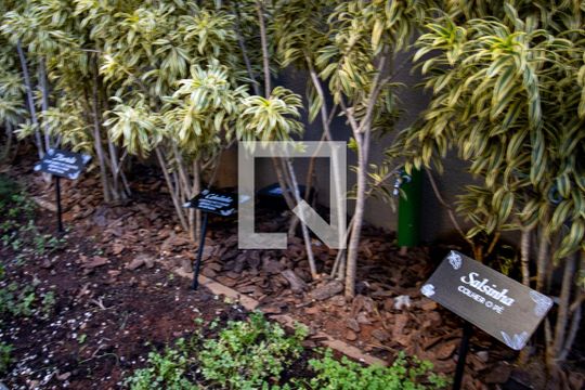 Área comum - Horta de apartamento para alugar com 1 quarto, 27m² em Vila Nova Conceição, São Paulo