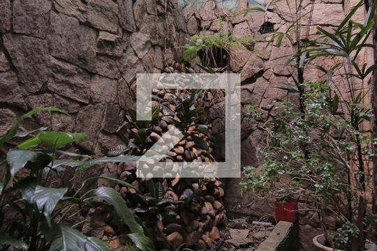 Área Externa de casa à venda com 5 quartos, 360m² em Jardim Fernandes, São Paulo