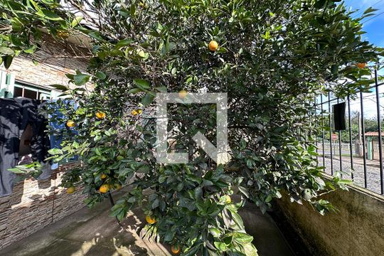 Área Externa de casa à venda com 3 quartos, 140m² em Campina, São Leopoldo