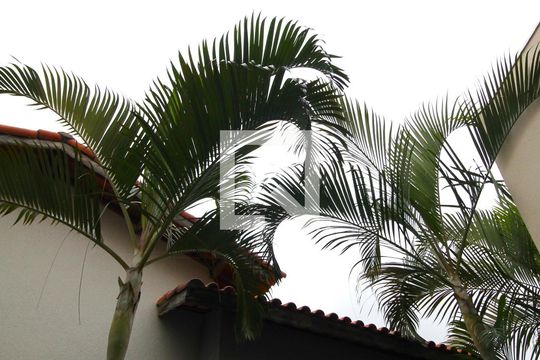 vista da lavanderia de casa de condomínio para alugar com 1 quarto, 30m² em Vila Ré, São Paulo