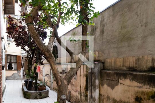 Quintal  de casa para alugar com 6 quartos, 450m² em Vila Centenario, São Paulo