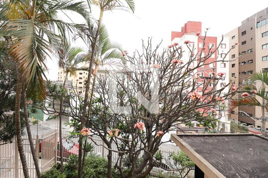 Vista do Quarto 1 de apartamento para alugar com 2 quartos, 85m² em Vila Paulicéia, São Paulo