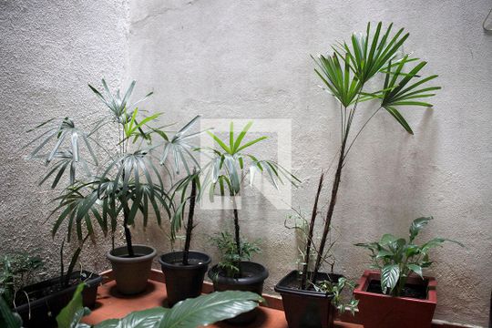 Jardim de Inverno de apartamento à venda com 3 quartos, 110m² em Centro Histórico, Porto Alegre