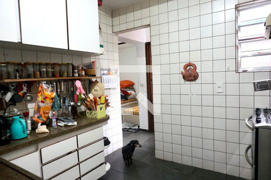 Cozinha  de casa de condomínio à venda com 3 quartos, 194m² em Jardim Hípico, São Paulo