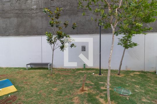 Área comum - Espaço pet de apartamento para alugar com 2 quartos, 55m² em Bonfim, Campinas