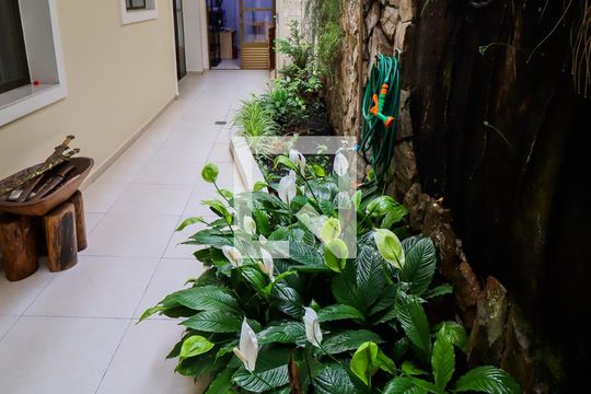 Piso 1:  Jardim de casa à venda com 6 quartos, 520m² em Sacomã, São Paulo