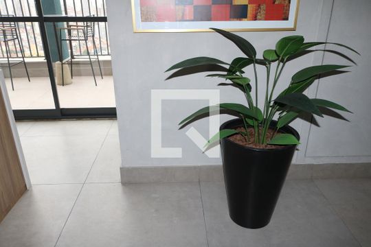 Área comum - Salão de festas de apartamento para alugar com 1 quarto, 27m² em Parada Inglesa, São Paulo