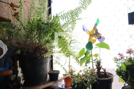 Detalhe da area de serviço de apartamento para alugar com 2 quartos, 50m² em Feitoria, São Leopoldo