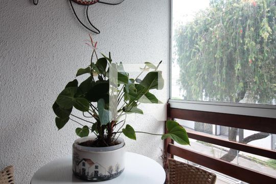 Varanda de casa à venda com 4 quartos, 250m² em Vila Paquetá, Belo Horizonte