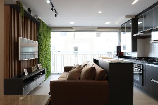 Detalhe Sala de apartamento para alugar com 2 quartos, 43m² em Parque Industrial Tomas Edson, São Paulo