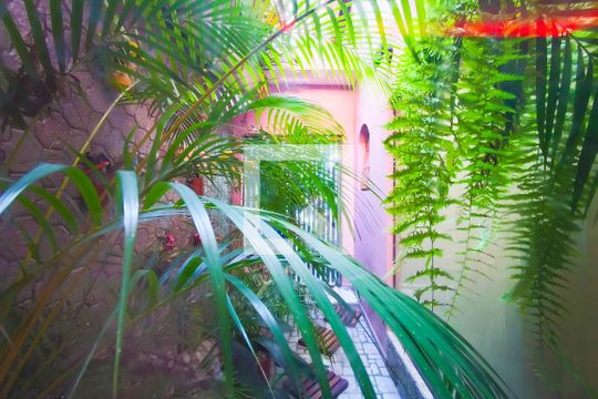Jardim de Inverno de casa à venda com 3 quartos, 170m² em Parque Novo Oratório, Santo André