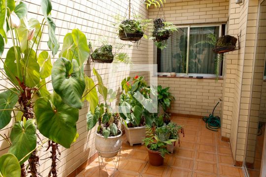 Jardim de casa para alugar com 3 quartos, 347m² em Vila Osasco, Osasco