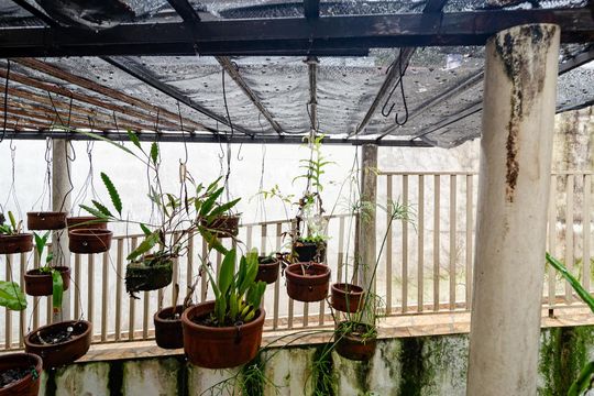 Vista da Suíte de casa à venda com 5 quartos, 450m² em Vila Santa Catarina, São Paulo