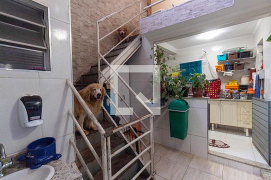 Quintal de casa para alugar com 4 quartos, 500m² em Vila Robertina, São Paulo