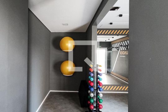 Academia 1 de apartamento para alugar com 2 quartos, 40m² em Vila Água Funda, São Paulo