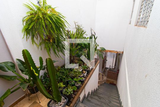 Escada de casa à venda com 5 quartos, 100m² em Bela Vista, São Paulo