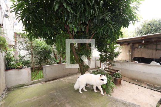 Quintal de casa à venda com 4 quartos, 330m² em Vila Zelina, São Paulo