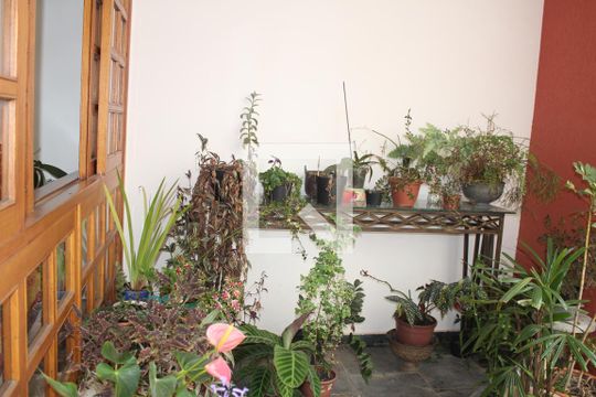 Quintal de casa à venda com 3 quartos, 126m² em Alto da Lapa, São Paulo