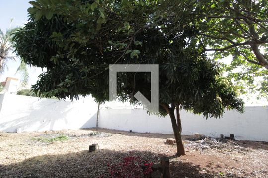 Quintal de casa para alugar com 2 quartos, 139m² em Martins, Uberlândia