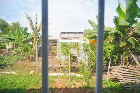 Vista da Sala de casa para alugar com 2 quartos, 260m² em Santo Afonso, Novo Hamburgo