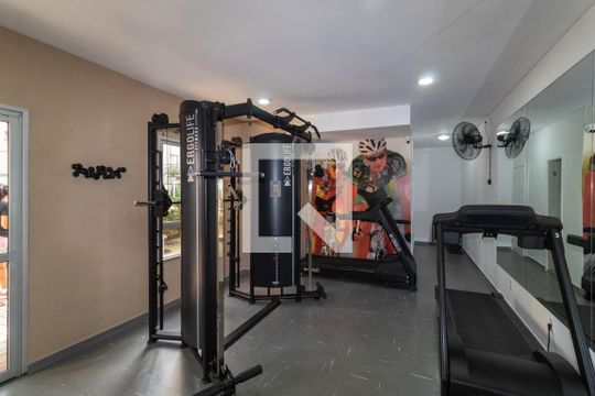 Academia  de apartamento para alugar com 2 quartos, 50m² em Vila Moreira, São Paulo