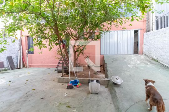 Quintal de casa para alugar com 3 quartos, 180m² em Paquetá, Belo Horizonte