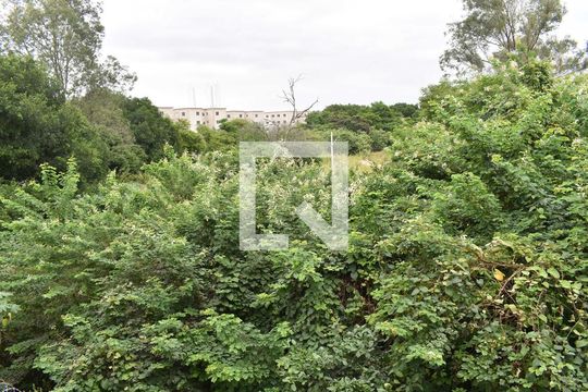 Vista da Sala de apartamento para alugar com 2 quartos, 46m² em Guaratiba, Rio de Janeiro