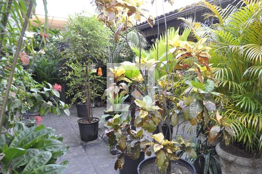 Quintal de casa à venda com 4 quartos, 191m² em Pilares, Rio de Janeiro