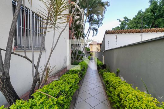 Entrada de apartamento para alugar com 2 quartos, 50m² em Santa Amélia, Belo Horizonte