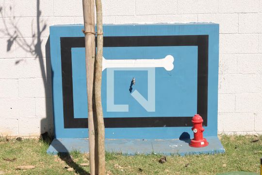 Área comum - Pet place de apartamento para alugar com 2 quartos, 35m² em Vila Norma, São Paulo