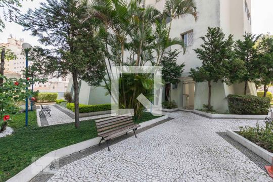 Área comum de apartamento para alugar com 1 quarto, 39m² em Cambuci, São Paulo